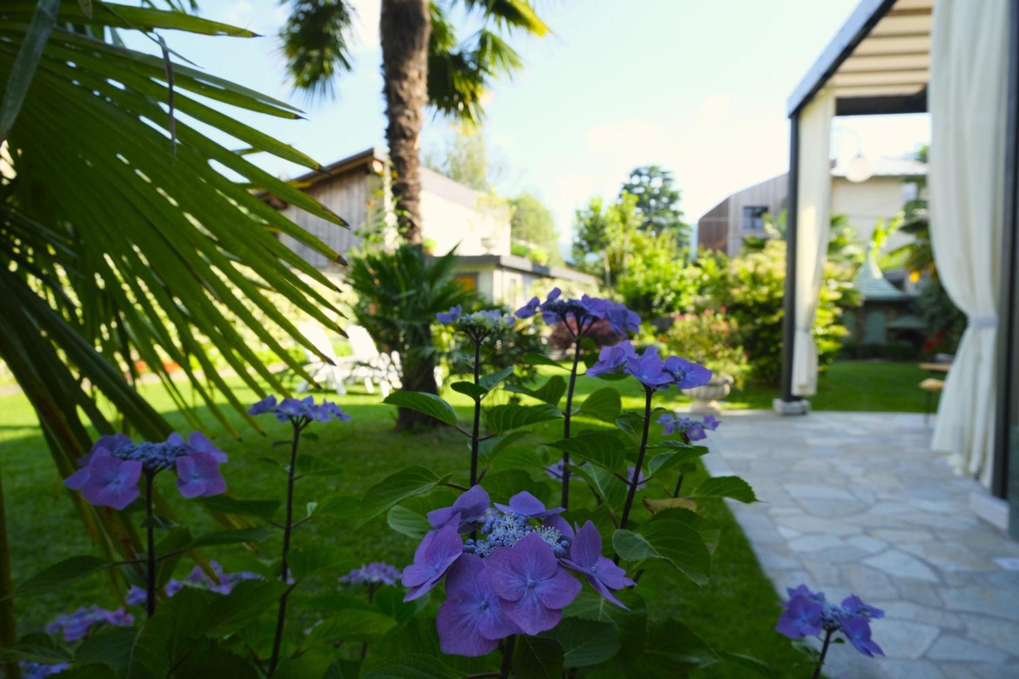 מנדלו דל לאריו Residenza Laurum מראה חיצוני תמונה